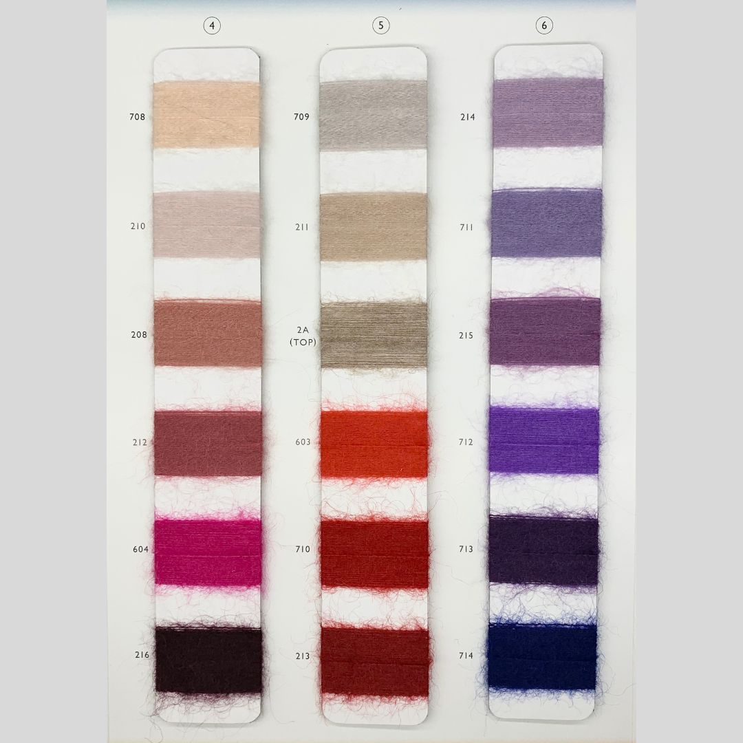 DANDE(ダンデ)/46colors/@1.0kg